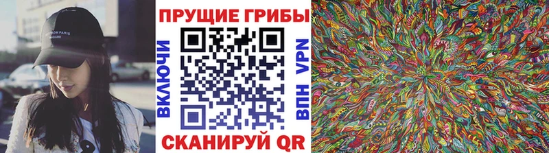 блэк спрут tor  дарнет шоп  Приволжск  Псилоцибиновые грибы прущие грибы 